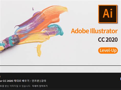 Adobe İllustrator Cc 2020 무설치nbi